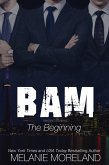 BAM - The Beginning (Vested Interest, #0) (eBook, ePUB)