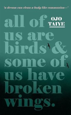 All of Us are Birds and Some of Us Have Broken Wings - Taiye, Ojo