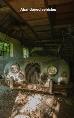 Abandoned vehicles - Haupt, Henrik