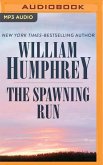 The Spawning Run
