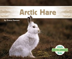 Arctic Hare - Hansen, Grace