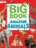 Big Book of Amazing Animals