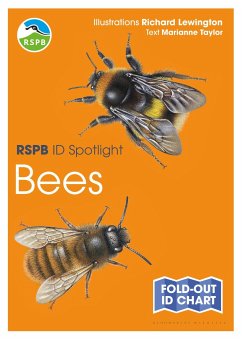 RSPB ID Spotlight - Bees - Taylor, Marianne