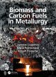 Biomass and Carbon Fuels in Metallurgy - Bild 1