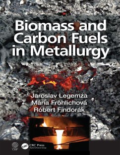 Biomass and Carbon Fuels in Metallurgy - Legemza, Jaroslav; Fröhlichová, Mária; Findorák, Róbert