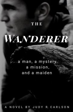 The Wanderer: A man, a mystery, a mission, and a maiden - Carlson, Judy R.