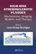 High-Risk Atherosclerotic Plaques - Bild 1