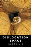 Dislocation Space (eBook, ePUB)