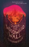 Over the Woodward Wall (eBook, ePUB)