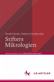 Stifters Mikrologien (eBook, PDF)