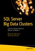 SQL Server Big Data Clusters (eBook, PDF)