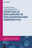 Spirituelle Erfahrung in philosophischer Perspektive (eBook, PDF)
