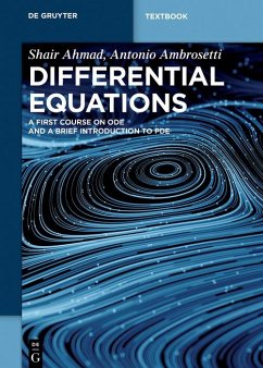 Cover Differential Equations (eBook, PDF)