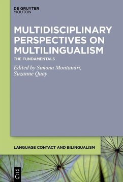 Cover Multidisciplinary Perspectives on Multilingualism (eBook, PDF)