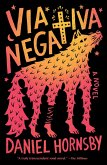 Via Negativa (eBook, ePUB)