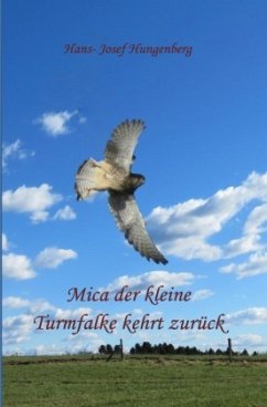 Mica der kleine Turmfalke kehrt zurück - Hungenberg, Hans- Josef