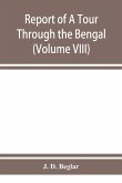 Report of A Tour Through the Bengal Provinces of Patna, Gaya, Mongir, and Bhagalpur; The Santal Parganas, Manbhum, Singhbhum, and Birbhum; Bankura, Raniganj, Bardwan, and Hughli in 1872-73 (Volume VIII)