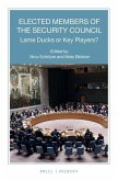 Elected Members of the Security Council: Lame Ducks or Key Players?