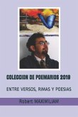 Coleccion de Poemarios 2019: Entre Versos, Rimas Y Poesias