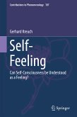 Self-Feeling (eBook, PDF)