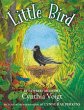 Little Bird (eBook, ePUB) - Bild 1