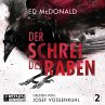 Der Schrei des Raben / Schwarzschwinge... - Bild 1