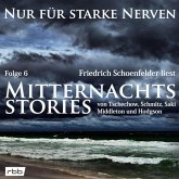 Mitternachtsstories von Tschechow, Schmitz, Saki, Middleton, Hodgson (MP3-Download)