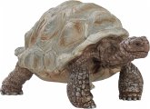 Schleich 14824 - Wild Life, Riesenschildkröte, Tierfigur