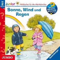 Sonne, Wind und Regen / Wieso? Weshalb? Warum? Junior Bd.47 (MP3-Download) - Mennen, Patricia