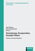 Vernetzung, Kooperation, Sozialer Raum (eBook, PDF)