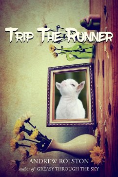 Trip The Runner (eBook, ePUB) - Rolston, Andrew