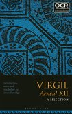 Virgil Aeneid XII: A Selection (eBook, ePUB)
