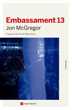 Cover Embassament 13 (eBook, ePUB)