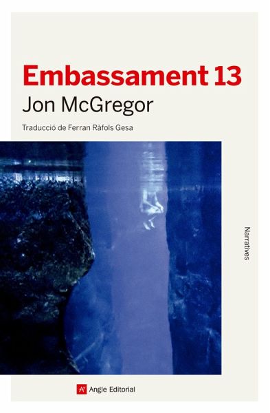 Embassament 13 (eBook, ePUB)