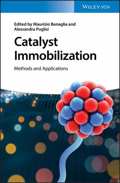 Catalyst Immobilization (eBook, PDF) Catalyst Immobilization (eBook, PDF)