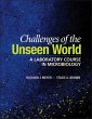 Challenges of the Unseen World (eBook,... - Bild 1