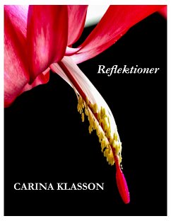 Reflektioner (eBook, ePUB) - Klasson, Carina