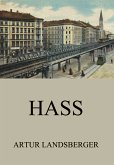 Hass (eBook, ePUB)