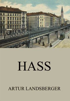 Hass (eBook, ePUB) - Landsberger, Artur