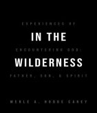 In the Wilderness: Experiences of Encountering God (eBook, ePUB)