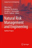 Natural Risk Management and Engineering