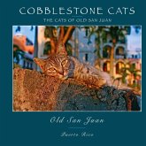 Cobblestone Cats - Puerto Rico Cobblestone Cats - Puerto Rico