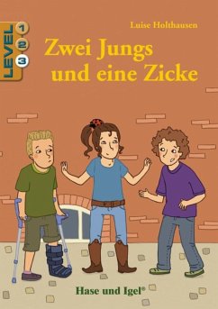 Zwei Jungs und eine Zicke / Level 3. Schulausgabe - Holthausen, Luise