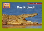 Das Krokodil / Kamishibai Bildkarten