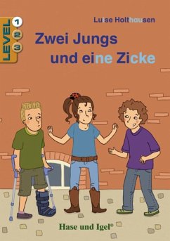 Zwei Jungs und eine Zicke / Level 1. Schulausgabe - Holthausen, Luise