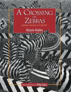 A Crossing of Zebras