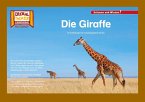 Die Giraffe / Kamishibai Bildkarten