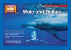 Kamishibai: Wale und Delfine