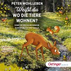 Weißt du, wo die Tiere wohnen? Eine Entdeckungsreise durch Wiese und Wald (MP3-Download)