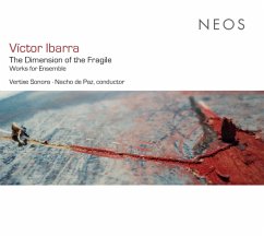 The Dimension Of The Fragile - De Paz,Nacho/Vertixe Sonora